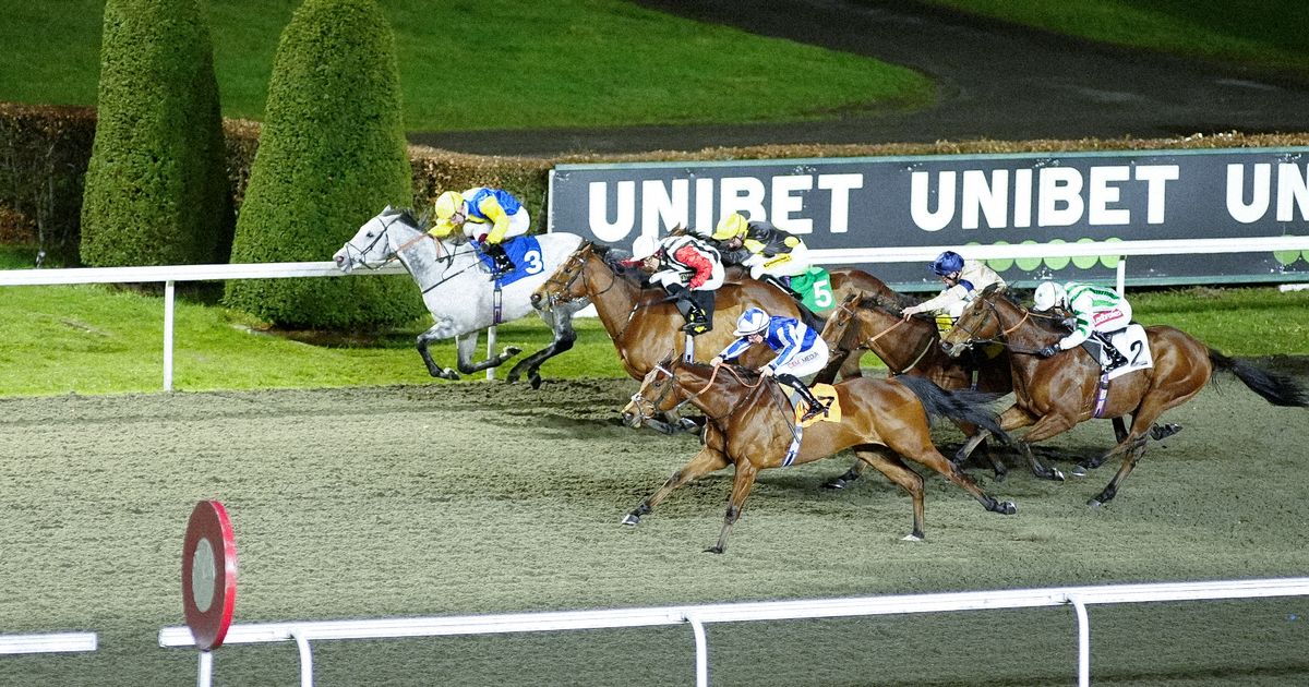 Ross Burdon's charge looks a smart play - Jason Heavey's Wednesday horse racing tips - Daily Star