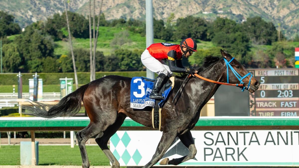 Santa Anita horse track installs slot machine-like terminals sure to spark fight