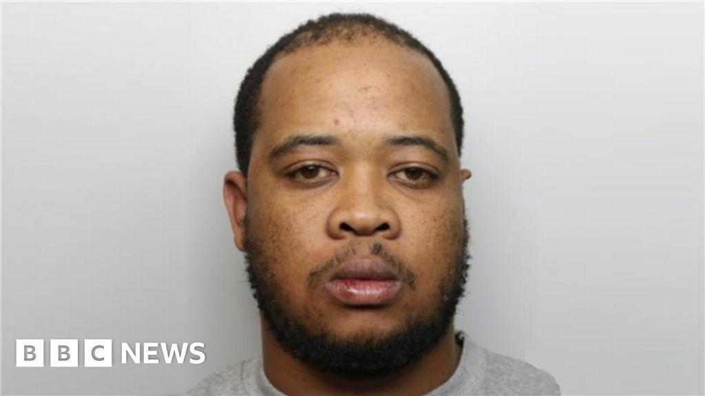 Stoke-on-Trent man who ran over dog and drove into owner jailed