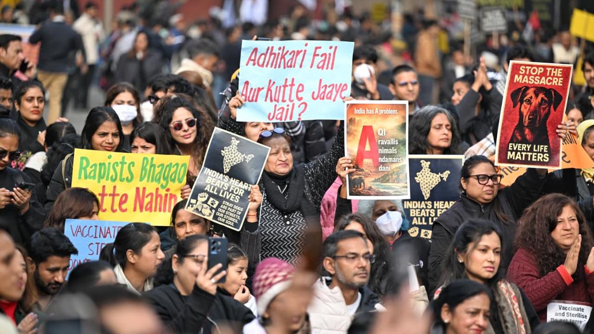 Stray dogs issue: Activists, citizens protest at Delhi's Jantar Mantar, call for lawful policy