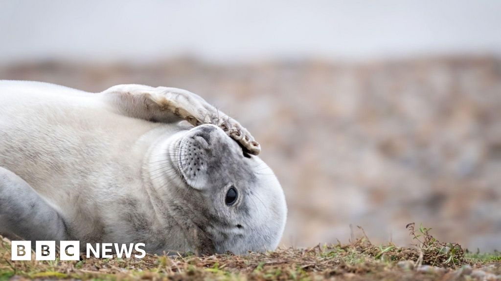 This Week in Pictures: Suffolk