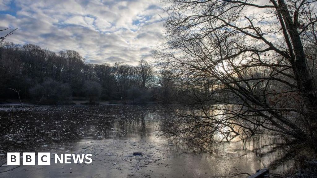 Surrey Fire and Rescue warning amid reports of children on ice