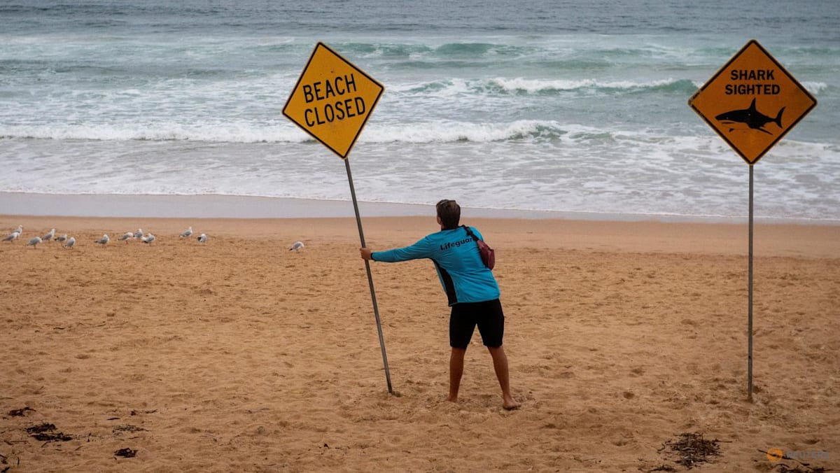 Sydney beaches stay closed after four shark attacks in two days in New South Wales