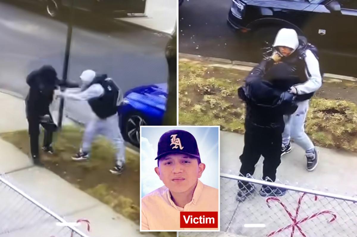 Teen charged in fatal NYC stabbing of 17-year-old boy had just been...