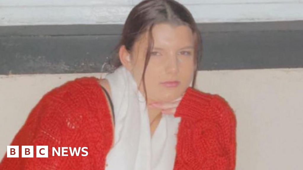 Teen who died fleeing police on M5 had tried to escape before