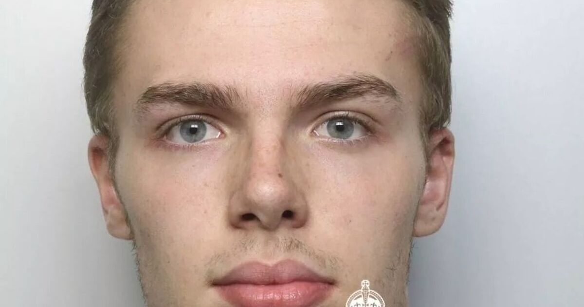 Teenage boy raped girl, 12, in secluded tunnel after meeting online