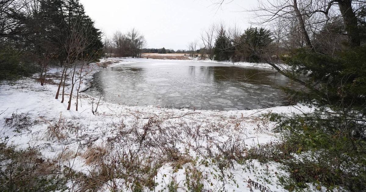 'I watched them struggle' - Mother's heartbreak as three sons drown in icy Texas pond - Daily Star