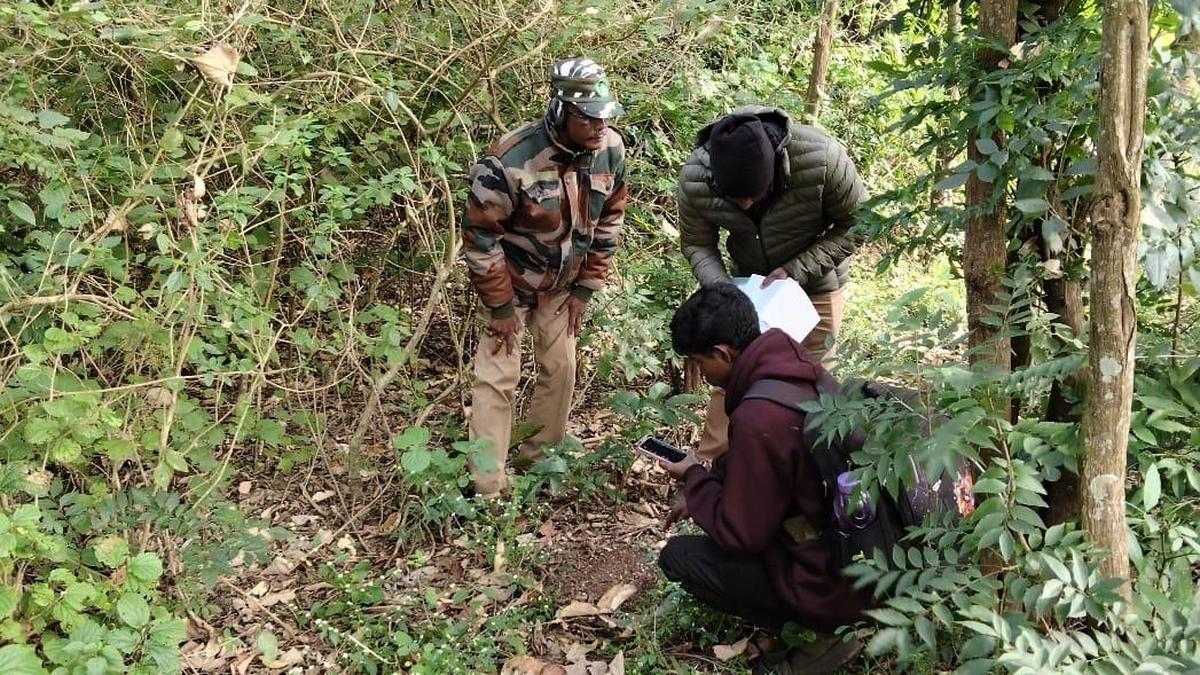 All-India Tiger Estimation begins in Anamalai Tiger Reserve