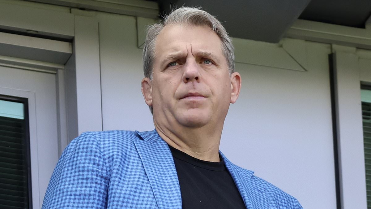 Epstein organised meetings with Todd Boehly after first jail term