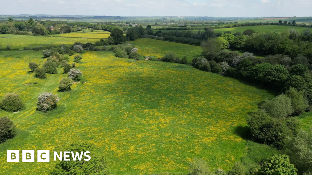 Thousands of trees to be planted at Great Bowden memorial reserve