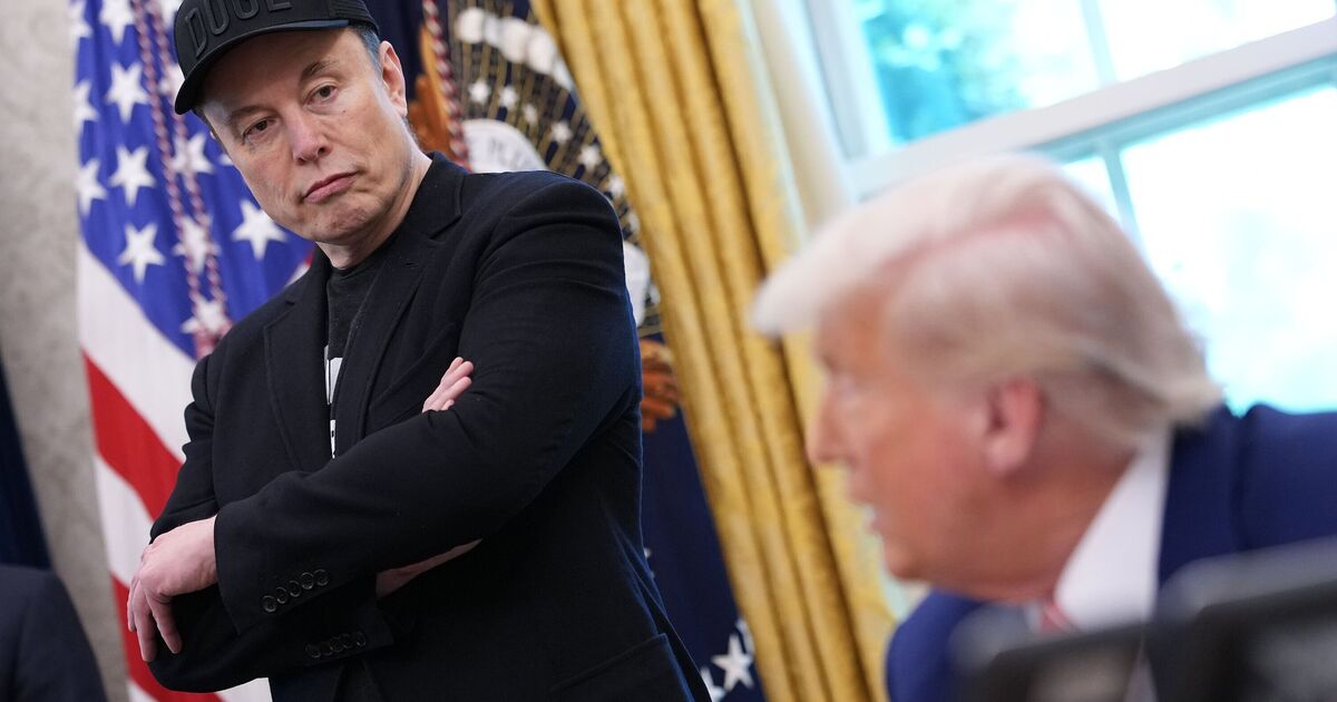Trump's surprising Elon Musk move just 6 months after Tesla CEO's party pledge