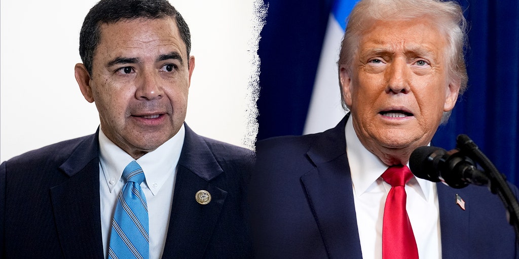 Trump endorses Cuellar opponent after pardoning Dem rep