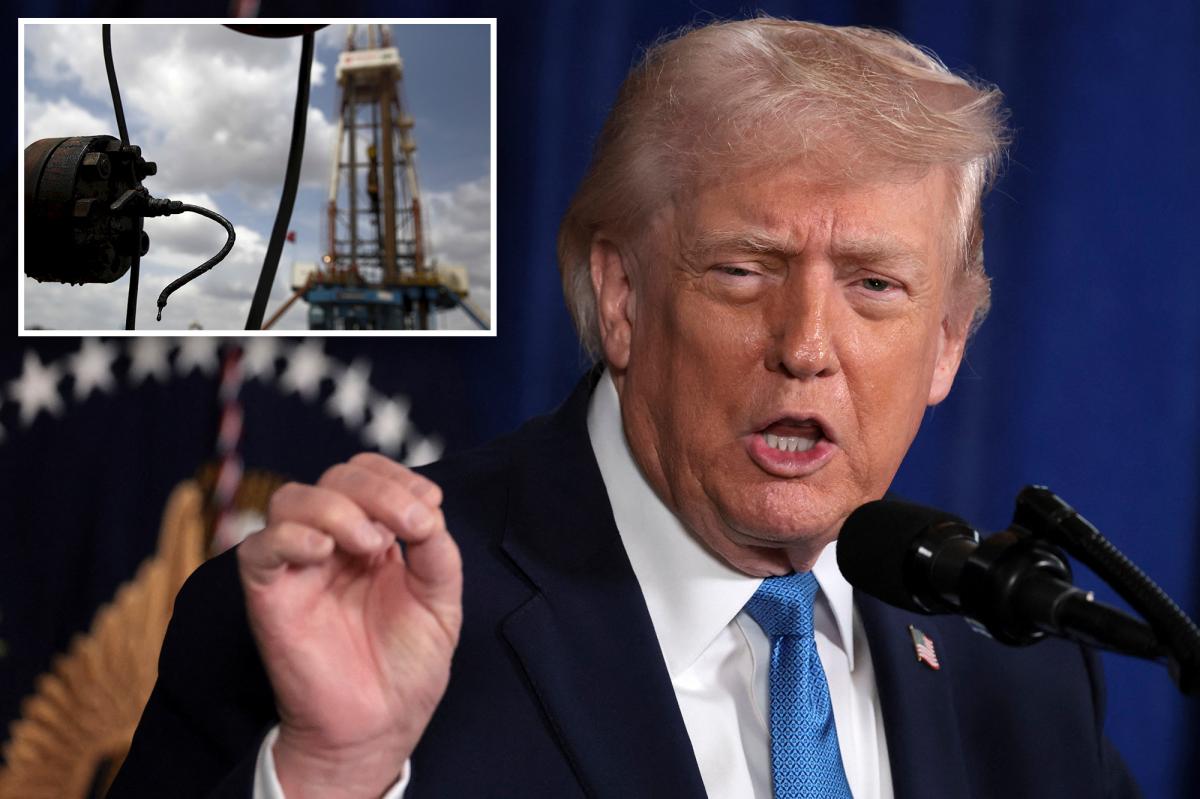 Trump offers first timeline for expanded US oil company operations in...