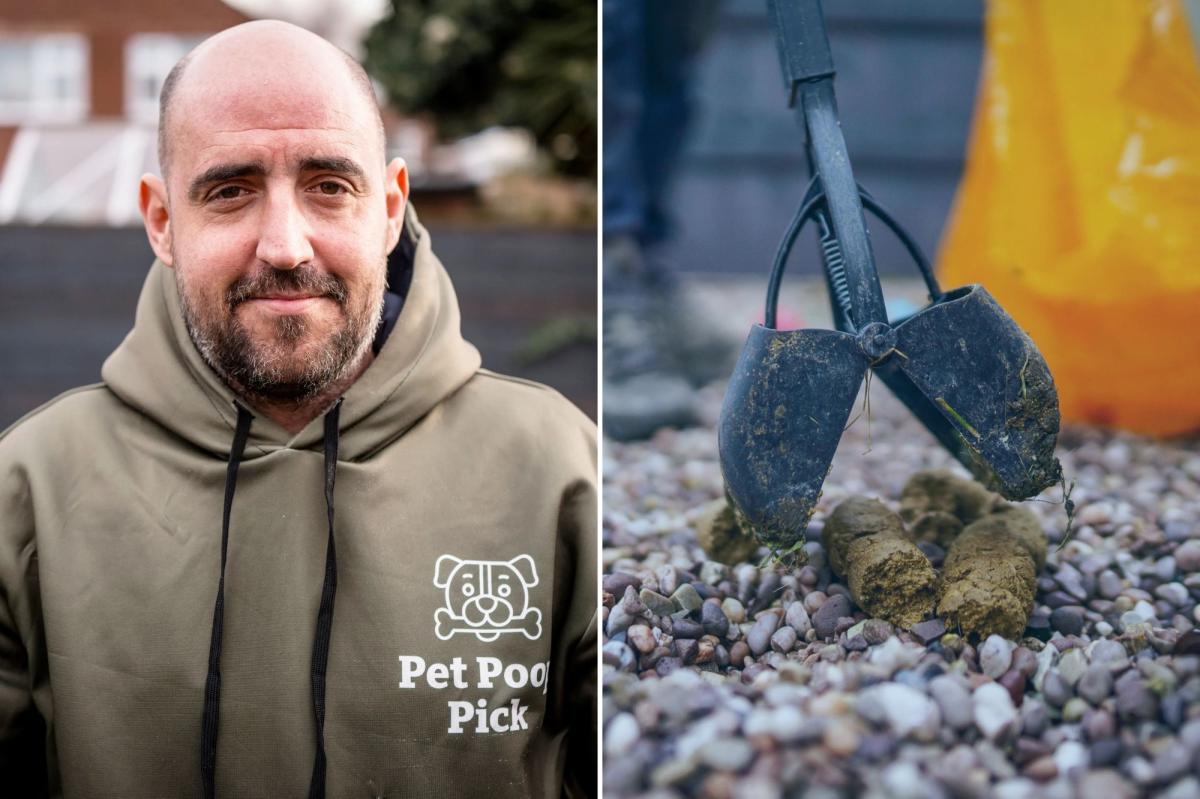 I earn $30K a year just to scoop dog poo  --  my clients are accused...