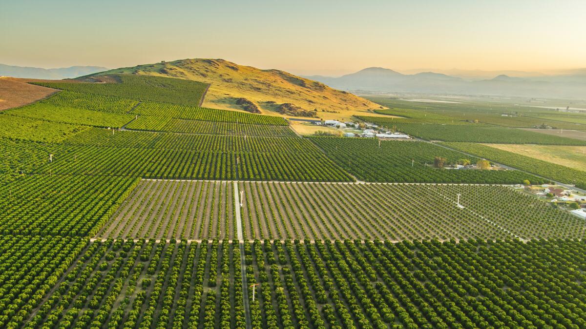 'Water bankruptcy' -- U.N. scientists say much of the world is irreversibly depleting water