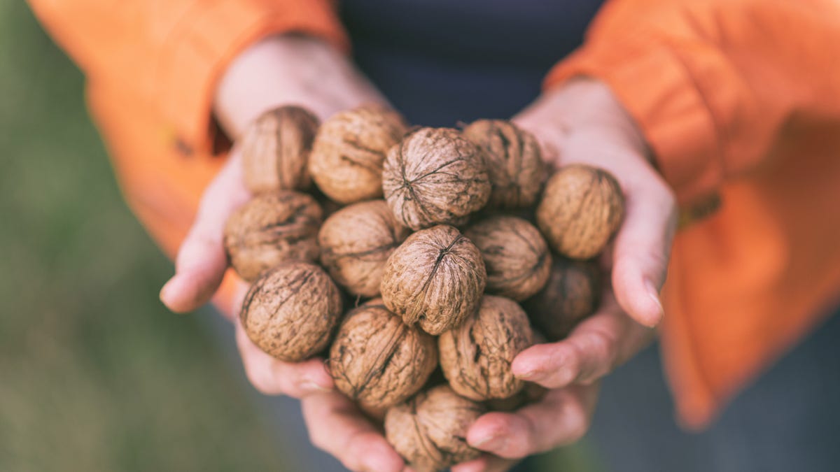 Walnuts are having a moment. Here's why that's a good thing.