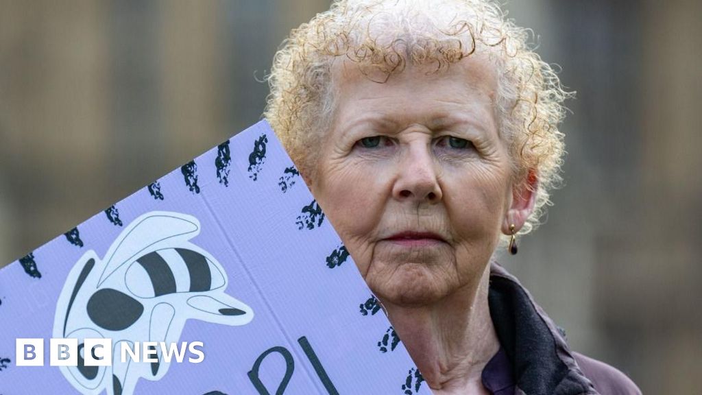 Waspi chair says fight on state pension age is not over