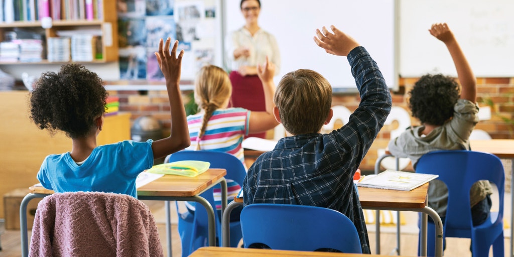 Watchdog exposes taxpayer-funded teacher program for banning White applicants: 'Likely illegal'