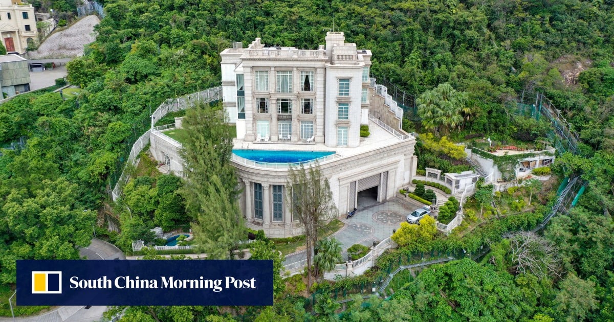 Wild boar carcass found near Li Ka-shing's home in Hong Kong sparks brief scare