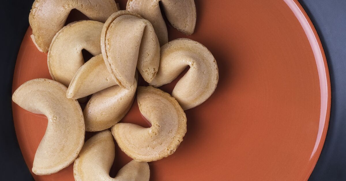Woman opens fortune cookie after cat dies and something amazing happens