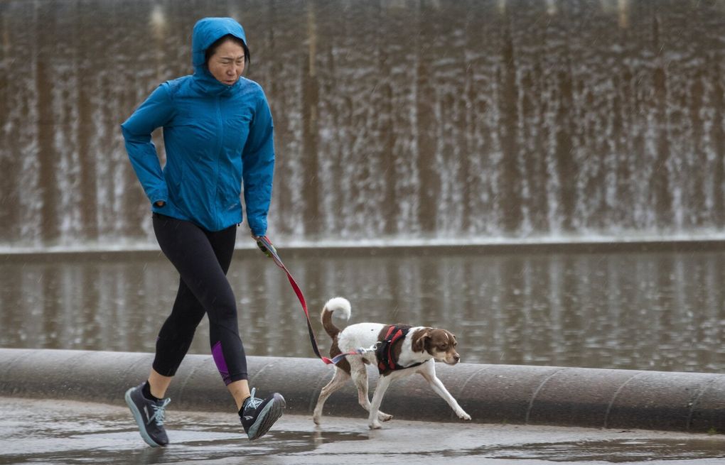 What women need to know about their unique heart disease risk factors
