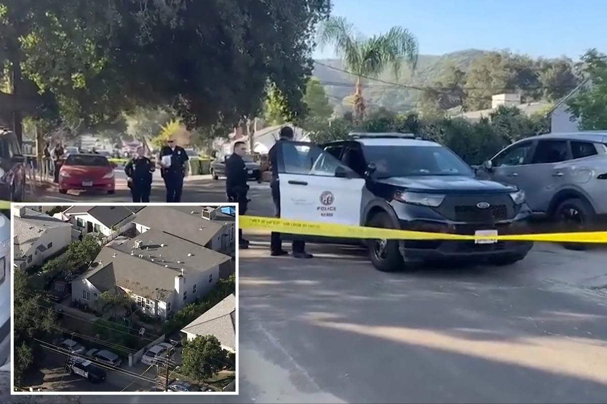 Girl, 10, and her grandfather stabbed by crazed neighbor while...