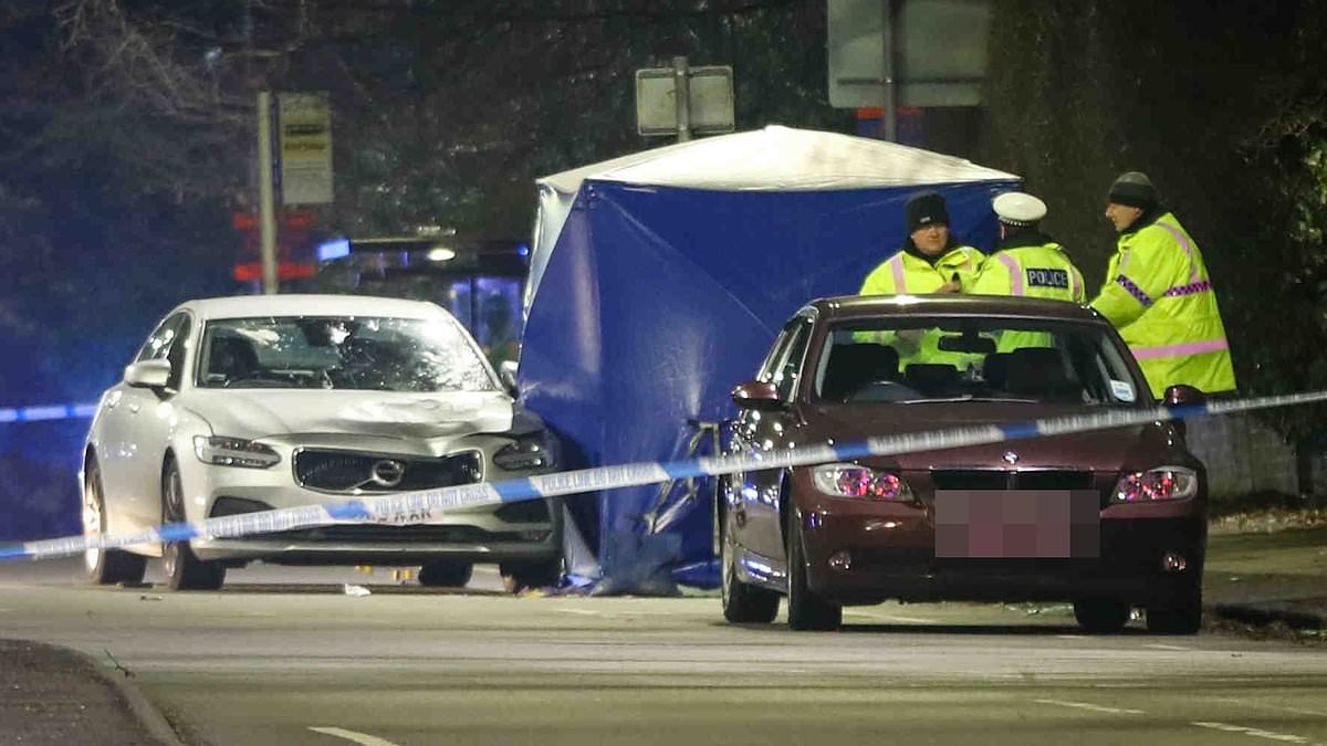 Woman, 79, is killed in car crash police arrest driver in his 40s