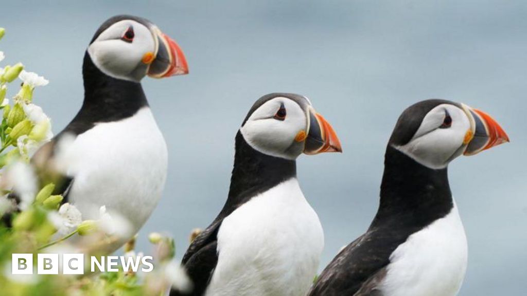 List of Alderney's key habitats and species published