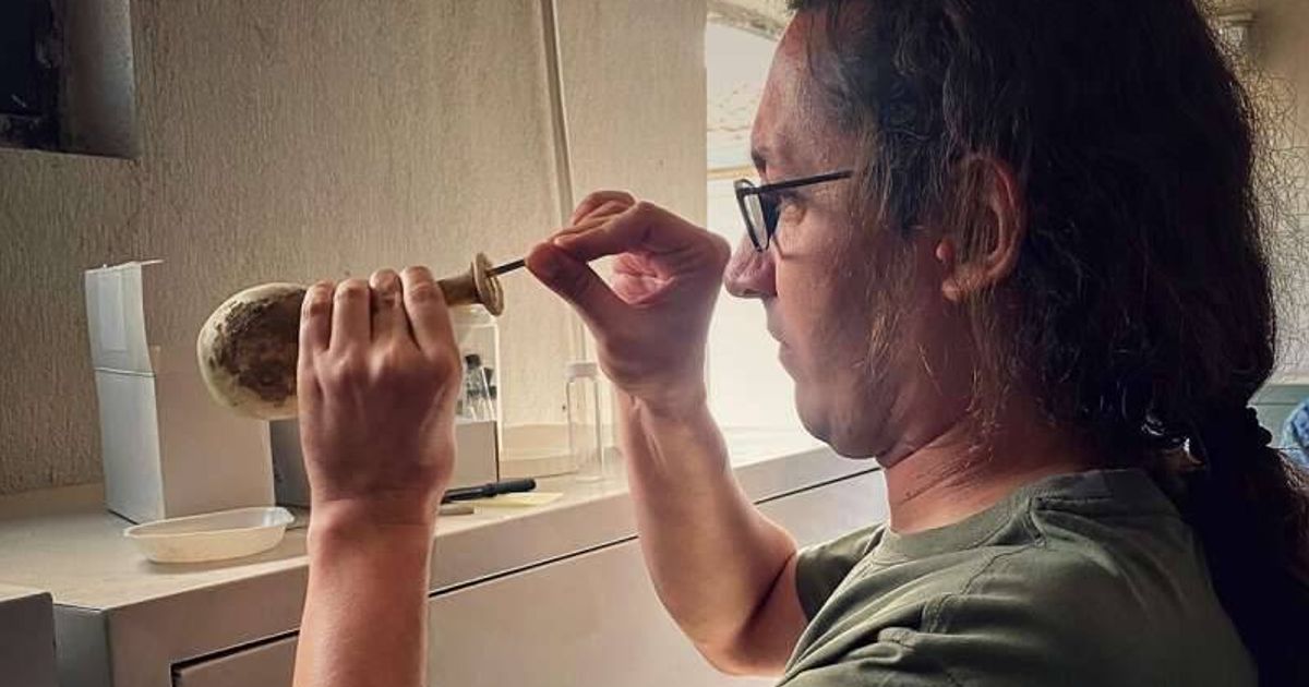 2,000-year-old Roman jar discovery proves ancient medics used human poo to treat sick - The Mirror