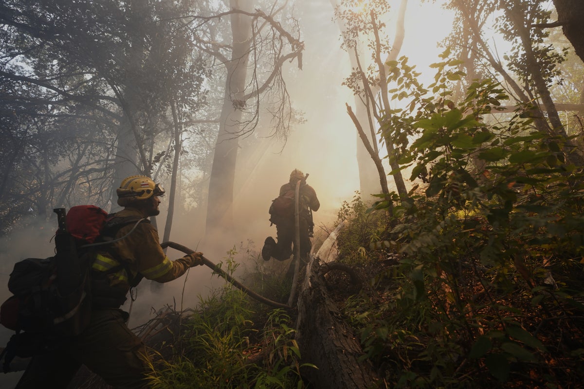 Argentina fires ravage pristine Patagonia forests, fueling criticism of Milei's austerity