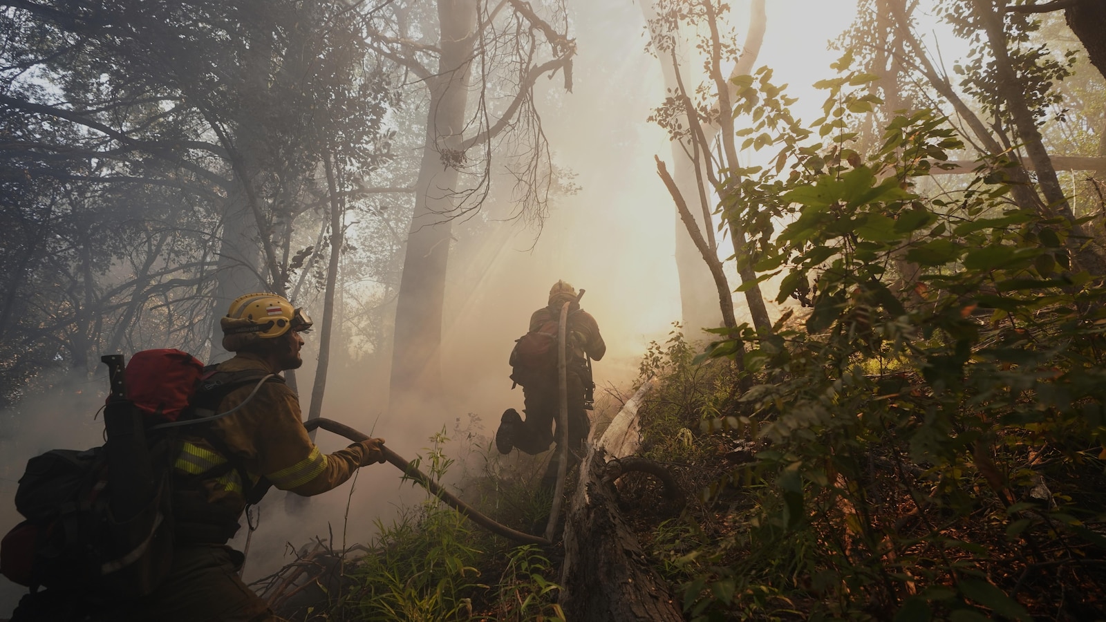 Argentina fires ravage pristine Patagonia forests, fueling criticism of Milei's austerity
