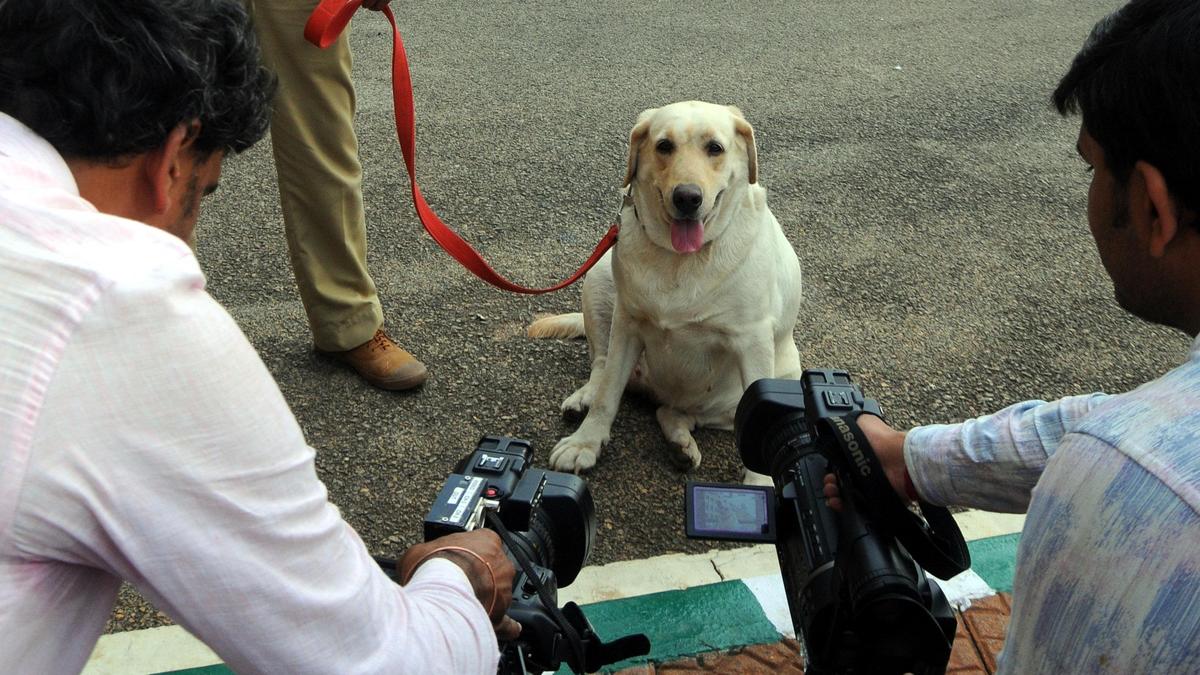 Bomb threat email triggers panic in Bengaluru South district court