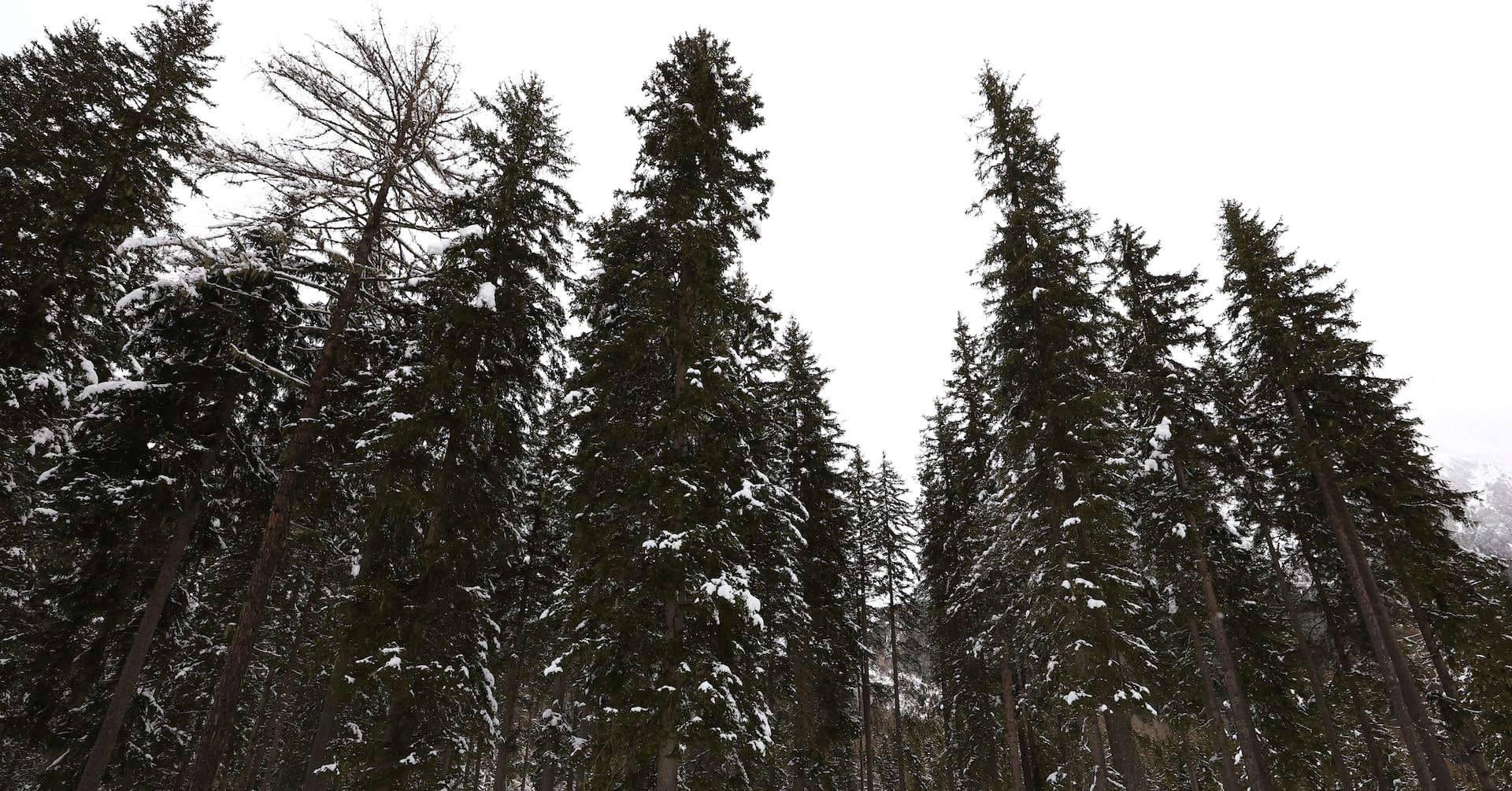 Biathlon-300 million fans in our sights, says biathlon chief ahead of Milano Cortina Games