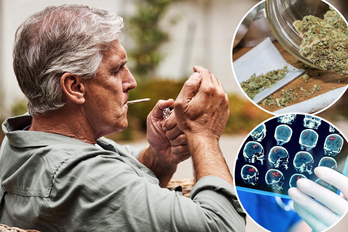Researchers 'surprised' by the brain benefits of cannabis usage in...