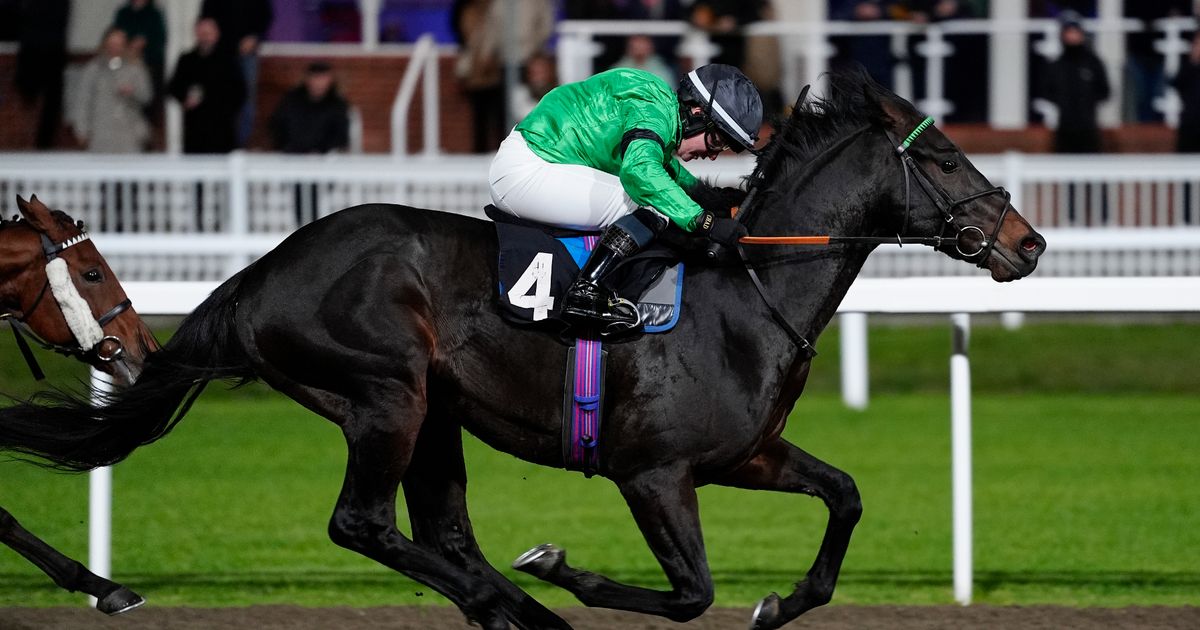 Hope springs eternal at Taunton - Jason Heavey's Thursday horse racing tips - Daily Star