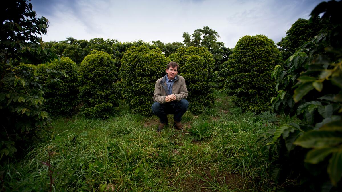 California coffee growing pioneers die of unknown causes, leaving behind 3 children