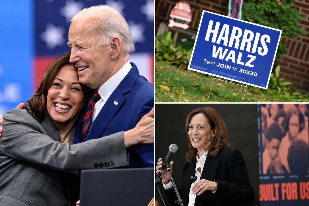 Indebted DNC bought Kamala Harris donor list for $6.5M more than a...