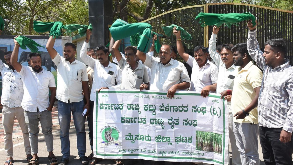 Farmers' body opposes resumption of safari in Nagarhole and Bandipur