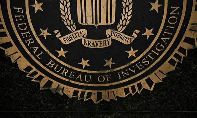 FBI election probe in Georgia launched by Trump advisor: affidavit