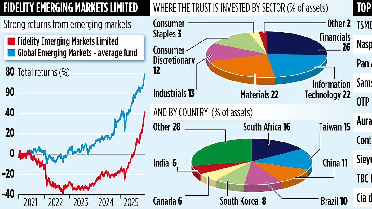 FIDELITY EMERGING MARKETS LIMITED is flying thanks to metals