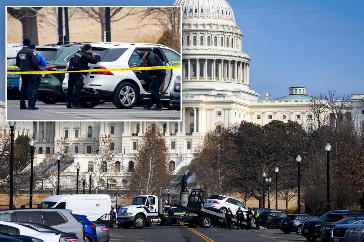 Police arrest Georgia man, 18, who charged US Capitol building...