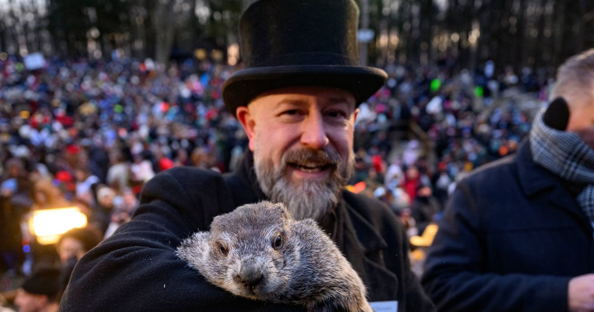People are only just learning the weird history behind Groundhog Day tradition - Daily Star