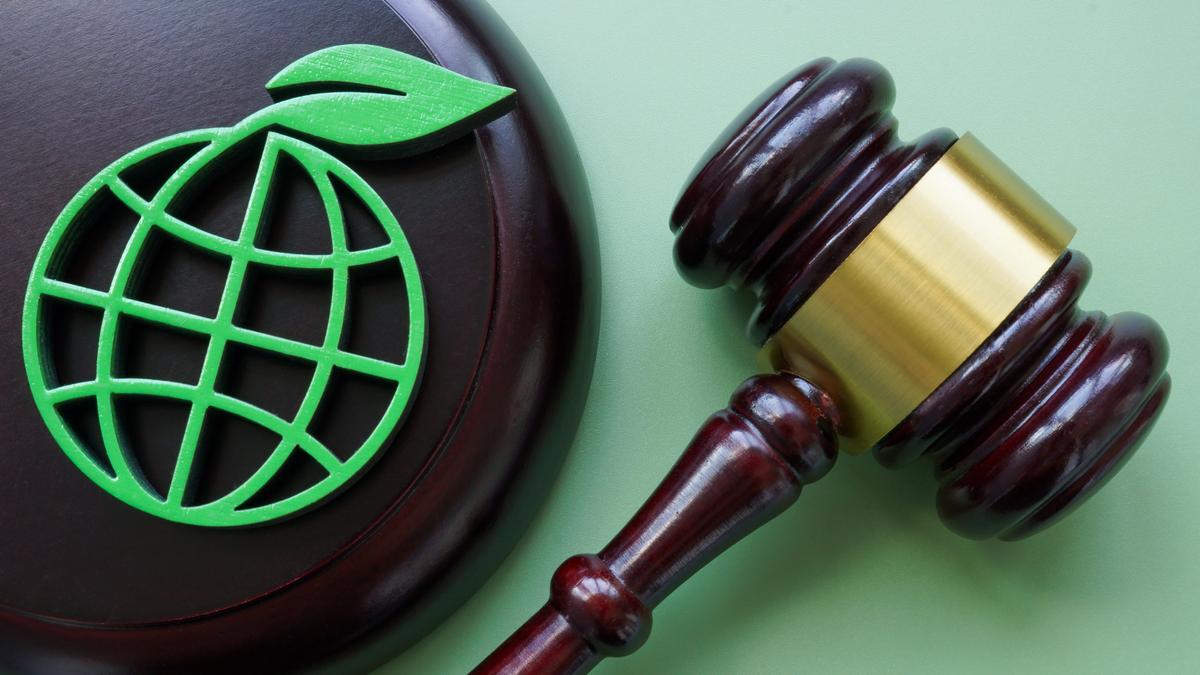 The fading of India's environmental jurisprudence