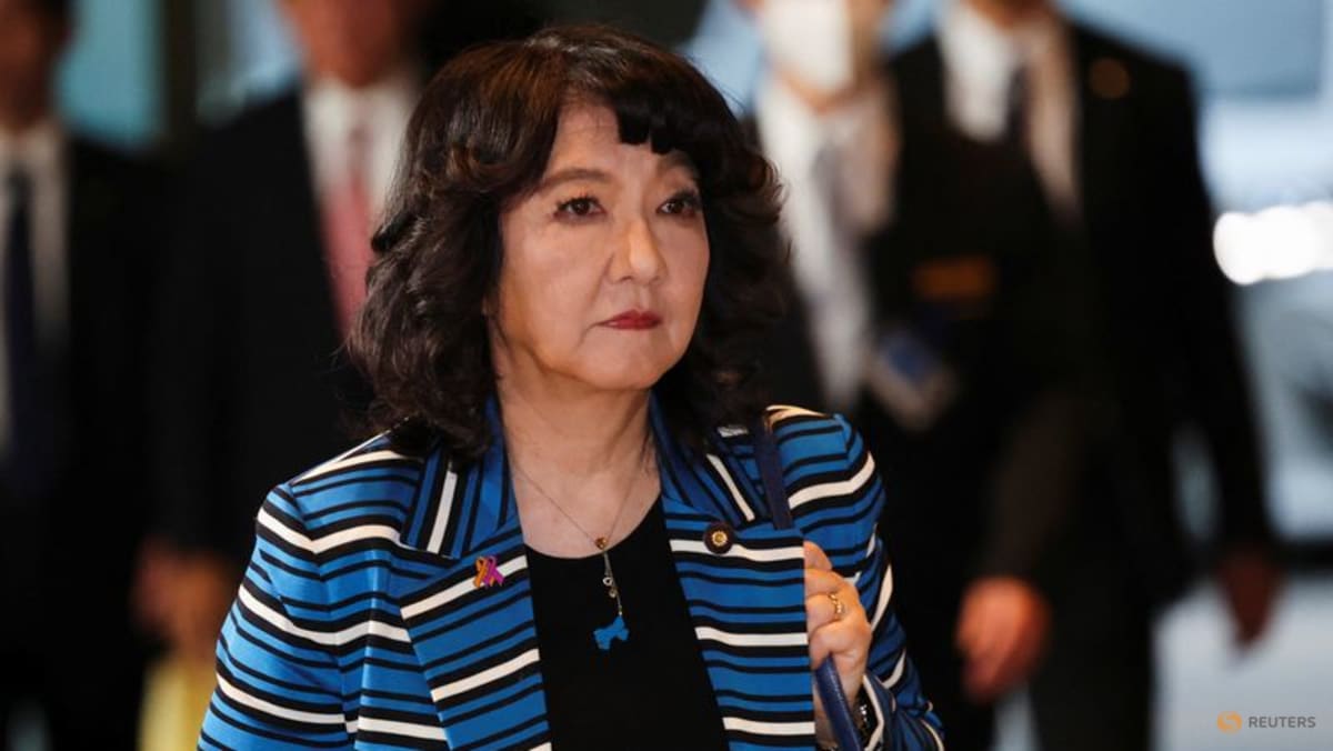 Japan finance minister says surplus from FX reserves may be discussed as funding option
