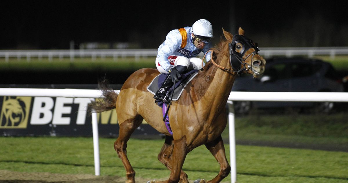 'He should take a 5lb penalty with a pinch of salt' -Jason Heavey's Tuesday horse racing tips - Daily Star