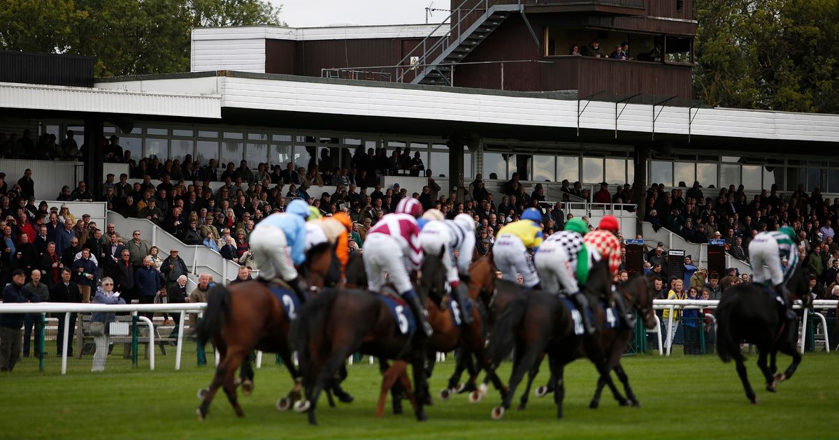 Duo can have the Midas Touch at Huntingdon - Jason Heavey's Thursday horse racing tips - Daily Star