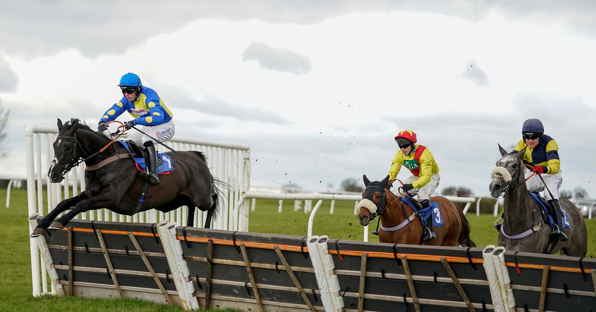 In-form trainer to score again at Ludlow - Jason Heavey's Wednesday horse racing tips - Daily Star