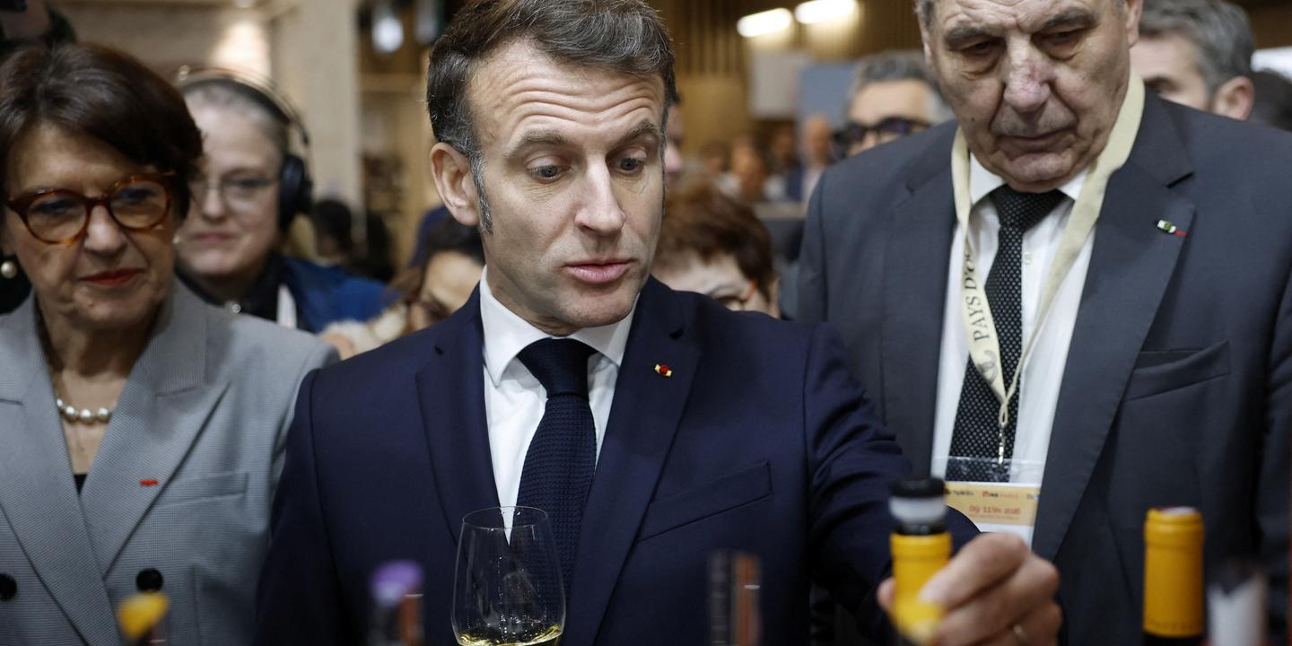 Macron backs uprooting of vines to help struggling wine sector