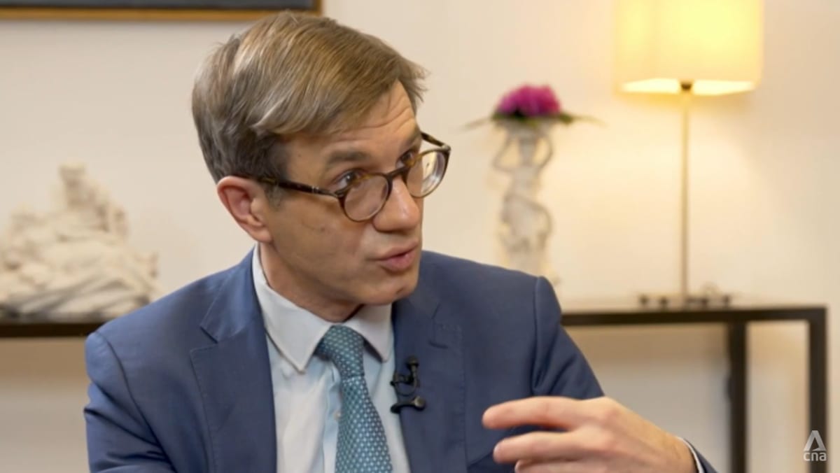 Malaysia has potential to be a global leader in rare earth production: French special envoy