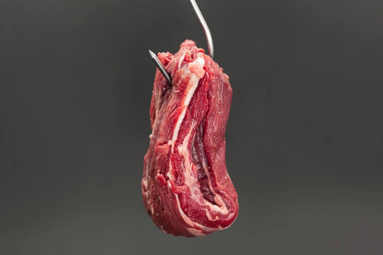 The meat envelope and the machine: Notes on the ontological honesty of PLAVE - The Korea Times